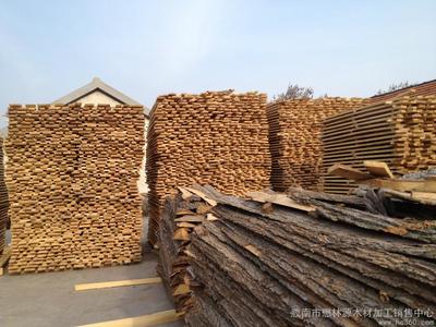 膠南市懋林源木材加工銷售中心 優質木材銷售服務專家