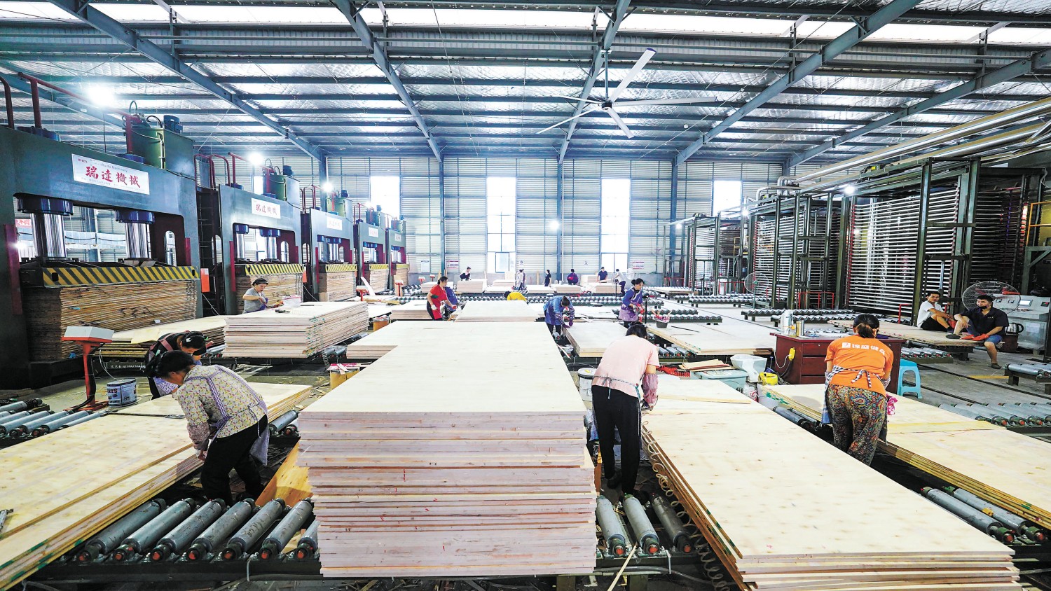 從綠水青山到金山銀山 貴州榕江如何將杉木打造成富民強縣大產(chǎn)業(yè)